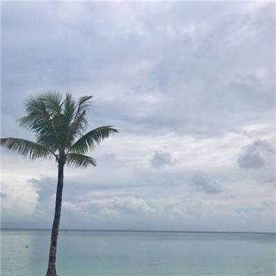 剑与轮回小米客户端下载